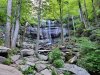 20210605_075846.jpg