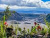 52420254-5F77-4253-ABBD-44AE52783C04.jpeg