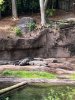 IMG_7634.jpeg