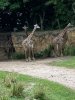 IMG_7637.jpeg