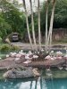 IMG_7638.jpeg