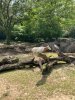 IMG_7639.jpeg