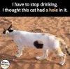 C7E65D4B-F4B7-4BAC-8C7C-DF0A87561EE2.jpeg