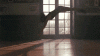 1F148DB9-C5A1-43FE-A3F5-EA7F4FC28027.gif