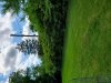 20210612_145559.jpg