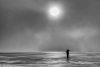 MungoDay3-13.jpg