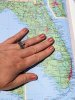 Cape Coral copy.jpg