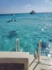 cayman10.jpg