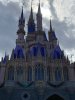 IMG_7401.JPEG