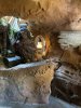 IMG_7409.JPEG