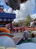 IMG_7418.JPEG