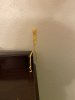 IMG_7430.JPEG