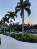 IMG_7434.JPEG