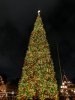 IMG_20191119_215959.jpg