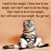 FB_IMG_1623108127946.jpg