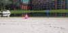 20210605_110226.jpg