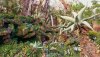 20180502_083555.jpg