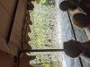 PXL_20210617_153311816.jpg