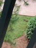 IMG_7656.jpeg