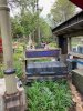 IMG_7671.jpeg