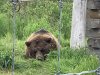 5AD92215-1897-47D4-855B-CAADBD353F7C.jpeg