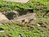 IMG_20210623_172210394.jpg