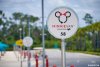 Minnie-van-ride-share-lyft-disney-hollywood-studios.jpg