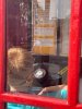IMG_3406_original.jpg