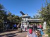 IMG_20200130_095006.jpg