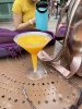 Drink at WDW.jpeg