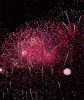 5D3FA532-DB11-41BB-BEAC-5D335510A45A.gif