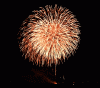 firework.gif