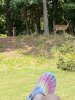 51F79812-BEDE-4E3C-83AA-F364A0E9A177.jpeg