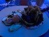 IMG_2064.jpg