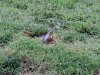 20210710_062141.jpg