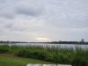 20210710_063106.jpg