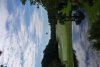 IMG_3325.JPG