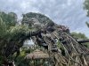 91C741DF-BFCB-443E-9AB1-9534F3AE4F8D.jpeg