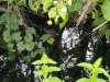 20210712_065329.jpg