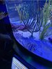 0209A9C7-0136-40BA-BD68-8D8AD2C6DC2A.jpeg