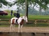 Elizabeth Horse.jpg