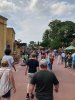 IMG_7732.jpeg