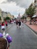 IMG_7733.jpeg