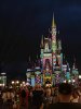 IMG_7444.JPEG