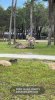 IMG_Jul162021at91616AM.jpg