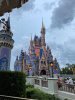 IMG_3164.jpeg