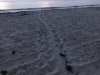 4886252C-D676-4D3C-9F7E-26733092CE37.jpeg