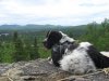 IMG_0568.JPG