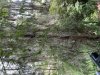 AD18ACE3-099E-4064-9219-A7DDC4723E1D.jpeg