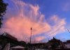94DC2573-BD2C-4840-A34A-131B7BA5CBD9.jpeg